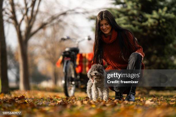 happy young woman cuddling her cute poodle in off-leash dog park - lead off stock pictures, royalty-free photos & images