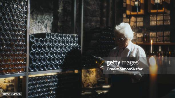 male cavist holding old wine bottle while standing by rack at cellar - cellar stock pictures, royalty-free photos & images
