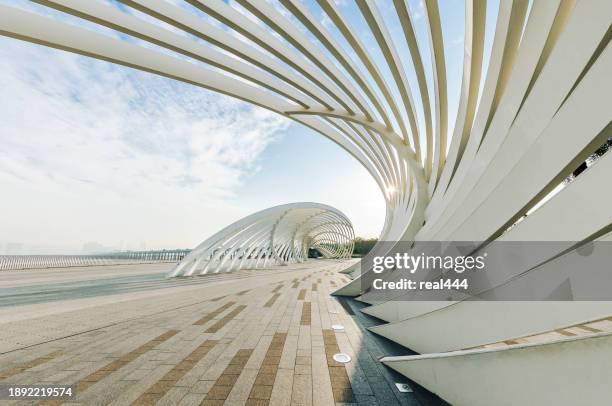 abstract geometric concrete architecture background - bogen architektonisches detail stock-fotos und bilder