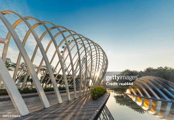 ferris wheel - circular business district stock pictures, royalty-free photos & images