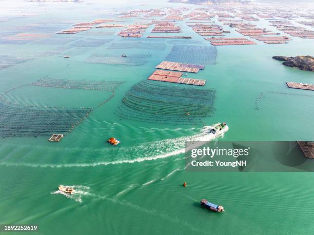 The Sea Ranch Photos and Premium High Res Pictures - Getty Images