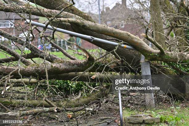 Lamp post is seen crushed by a fallen tree in the Millbrook area following a tornado on December 29, 2023 in Stalybridge, England.