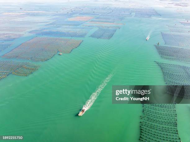 The Sea Ranch Photos and Premium High Res Pictures - Getty Images