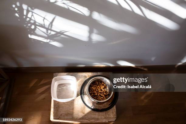 pet food bowls in sunlit room - dog bowl stock pictures, royalty-free photos & images