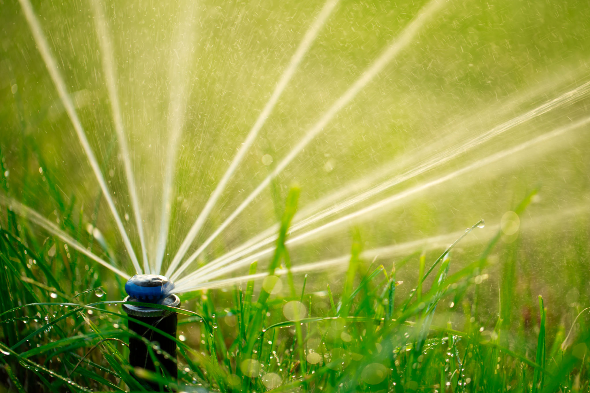 irrigation system
