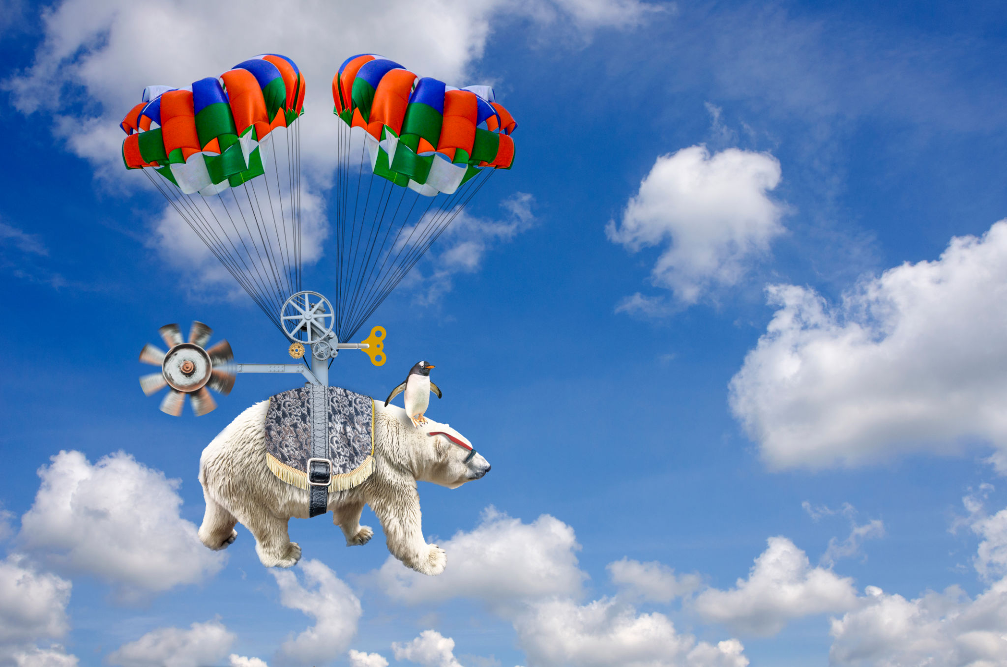 Fantasy Flight of the Polar Bear Fantasy Flight of the Polar Bear