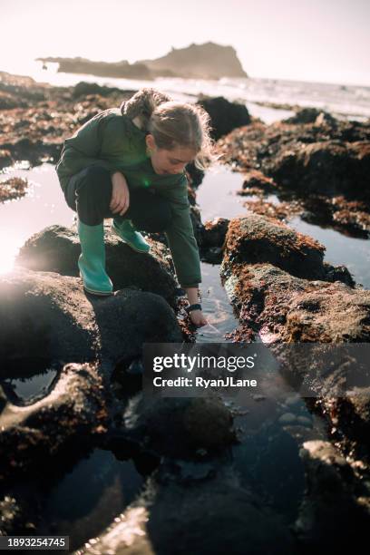 enfant explorant les bassins de marée sur la côte de l’état de l’oregon - piscine naturelle photos et images de collection