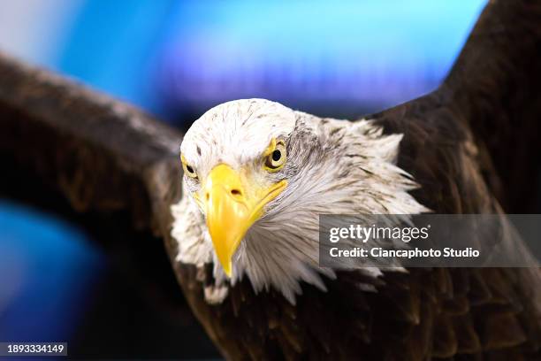 The Eagle "Olympia" of the SS Lazio under the "Curva Nord" sector of the SS Lazio fans during the Serie A TIM match between SS Lazio and Frosinone...