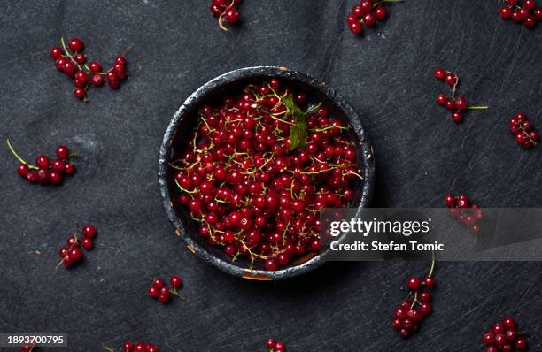 red currant berries in a bowl - rode bes stockfoto's en -beelden