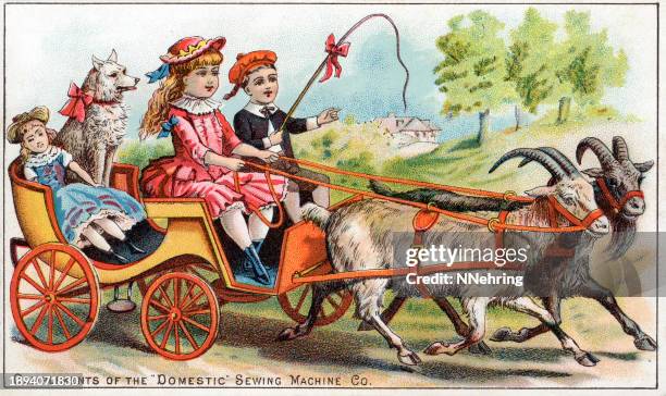illustrations, cliparts, dessins animés et icônes de chromolithographie d’enfants dans une charrette de chèvre sur une carte de commerce pour la société de machines à coudre domestique - machine à coudre ancienne