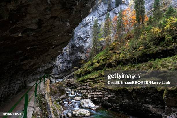 river breitach and breitachklamm gorge near oberstdorf, oberallgaeu, allgaeu, bavaria, germany, europe - breitachklamm canyon stock pictures, royalty-free photos & images