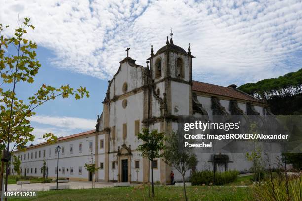igreja do convento de sao francisco, tomar, santarem, portugal, europe - estremadura e ribatejo imagens e fotografias de stock