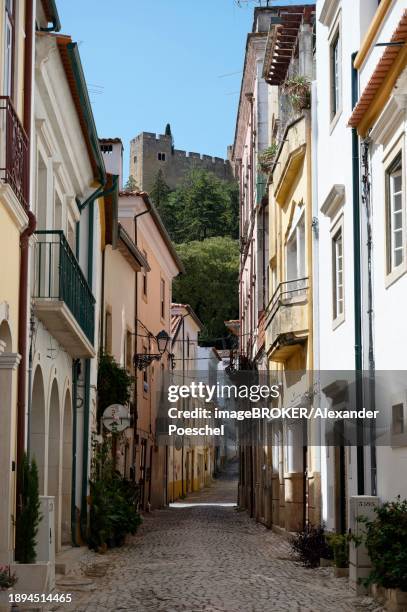 rua doutor joaquim jacinto, tomar, santarem, portugal, europe - doutor stock pictures, royalty-free photos & images