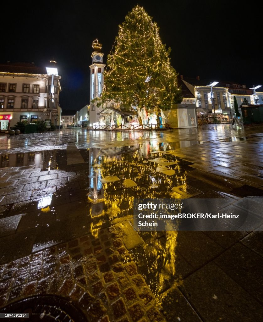 Illuminated Christmas tree, reflection in the rain-soaked pavement, Leoben, Styria, Austria, Europe