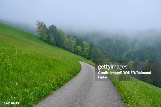 a lonely path leads through a misty green hilly landscape, the atmosphere is quiet and mysterious, spring, menzingen, prealps, zug, canton zug, switzerland, europe - menzingen stock pictures, royalty-free photos & images