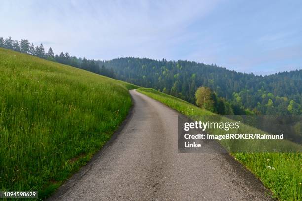 sunny country road leads between a meadow and a forest in a hilly landscape, spring, menzingen, prealps, zug, canton zug, switzerland, europe - menzingen stock pictures, royalty-free photos & images