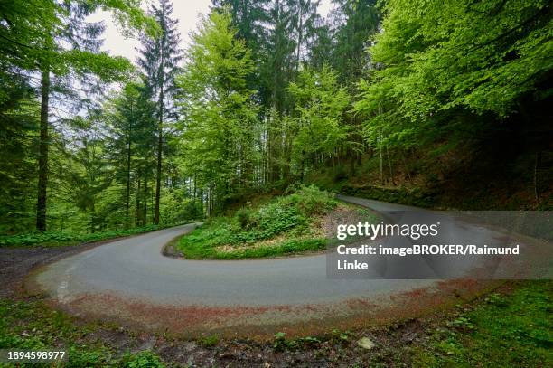 a road makes a sharp bend or turn in the middle of a green forest, spring, menzingen, pre-alps, zug, canton zug, switzerland, europe - menzingen stock pictures, royalty-free photos & images