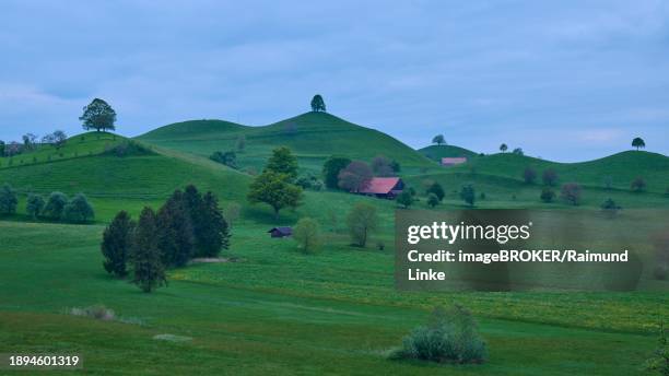 green moraine hills landscape with meadows and lime trees and some small houses under a cloudy sky, menzingen, prealps, zug, canton zug, switzerland, europe - menzingen stock pictures, royalty-free photos & images
