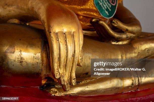 gilded buddha statue, bhumispara-mudra, buddha gautama at the moment of enlightenment, wat pho, bangkok, thailand, asia - ko ratanakosin stock pictures, royalty-free photos & images