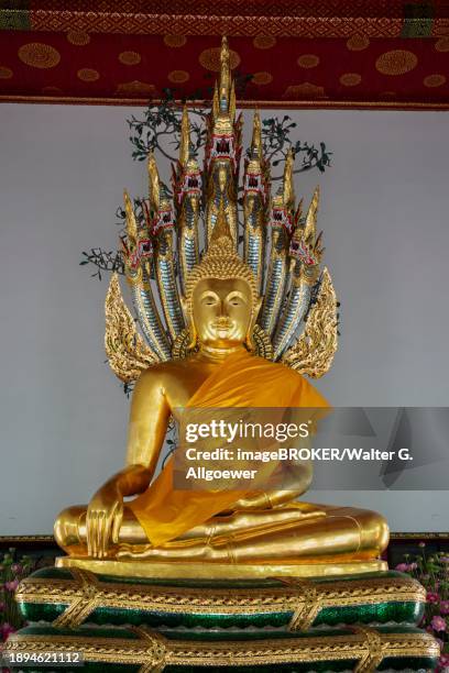 gilded buddha statue, bhumispara-mudra, buddha gautama at the moment of enlightenment, wat pho, bangkok, thailand, asia - ko ratanakosin stock pictures, royalty-free photos & images