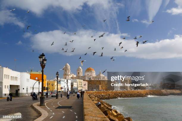 avenida campo del sur, cadiz, spain - cádiz stock pictures, royalty-free photos & images
