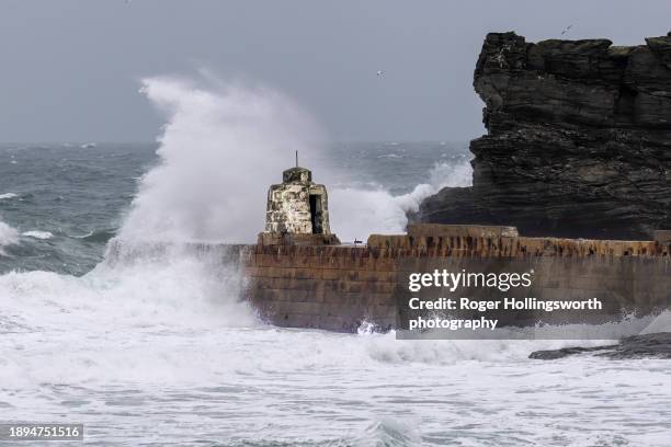 portreath breakwater - roger stock pictures, royalty-free photos & images