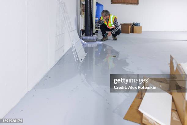 agente de seguros con linterna evaluando pérdidas y revisando cilindros de purificación de agua en sótano inundado - flooded basement fotografías e imágenes de stock