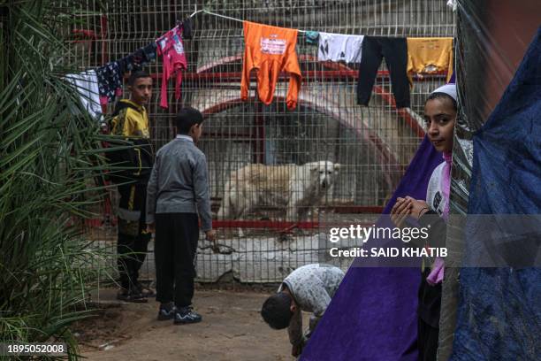 Displaced Palestinian family takes shelter near an animal cage at the zoo in Rafah in the southern Gaza Strip, on January 2 where displaced...