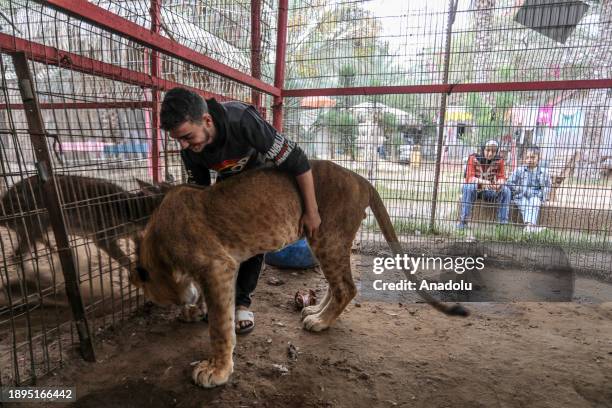 Lions, monkeys and parrots struggle to find food and medical treatment while they live under harsh conditions at the zoo due the Israeli attacks that...