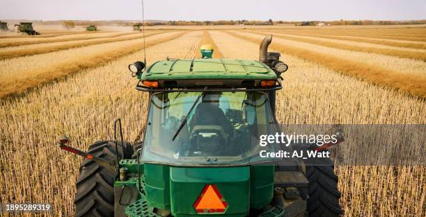farmer driving tracker on mustard field during harvest - tractor stockfoto's en -beelden