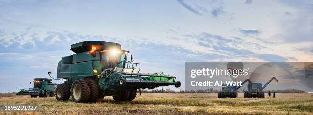 mietitrebbia macchina per la raccolta all'esterno sul campo agricolo durante la sera - mietitrebbia foto e immagini stock