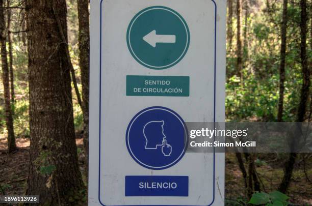 spanish-language sign stating 'sentido de circulación. silencio' [direction of circulation. silence] on a tree in santuario de la mariposa monarca “el rosario” ["el rosario" monarch butterfly sanctuary], manzana rancho escondido, michoacán, mexico - mariposa monarca stock pictures, royalty-free photos & images