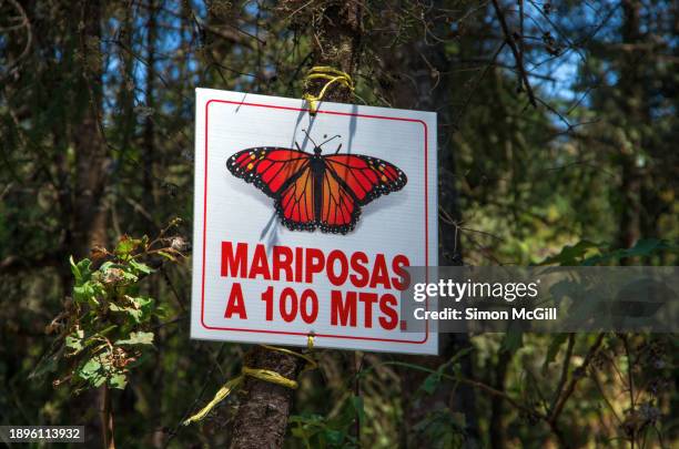 spanish-language sign stating 'mariposas a 100 mts' [butterflies 100 meters away] on a tree at santuario de la mariposa monarca “el rosario” ["el rosario" monarch butterfly sanctuary], manzana rancho escondido, michoacán, mexico - mariposa monarca stock pictures, royalty-free photos & images