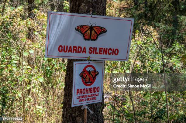 spanish language signs stating 'guarda silencio' [be quiet] & 'prohibido llevarse mariposas vivas o muertas' [forbidden to take live or dead butterflies] on a tree in "el rosario" monarch butterfly sanctuary, manzana rancho escondido, michoacán, mexico - prohibido ストックフォトと画像