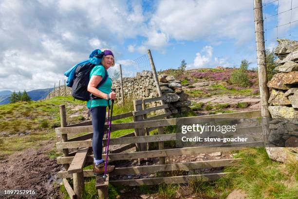 a senior female hiker with poles and backpack about to climb over a wooden stile to reach the summit of walla crag in the lake district of cumbria, england. - steve stiles stock pictures, royalty-free photos & images