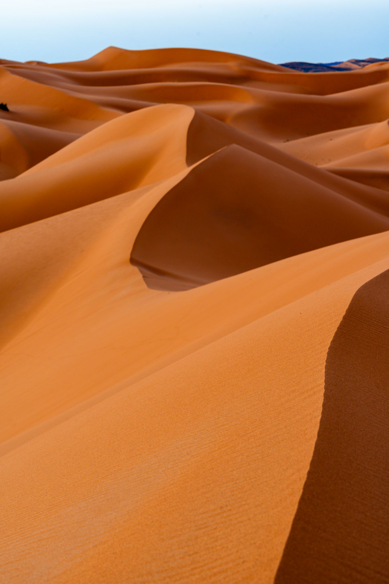 merzouga adventure