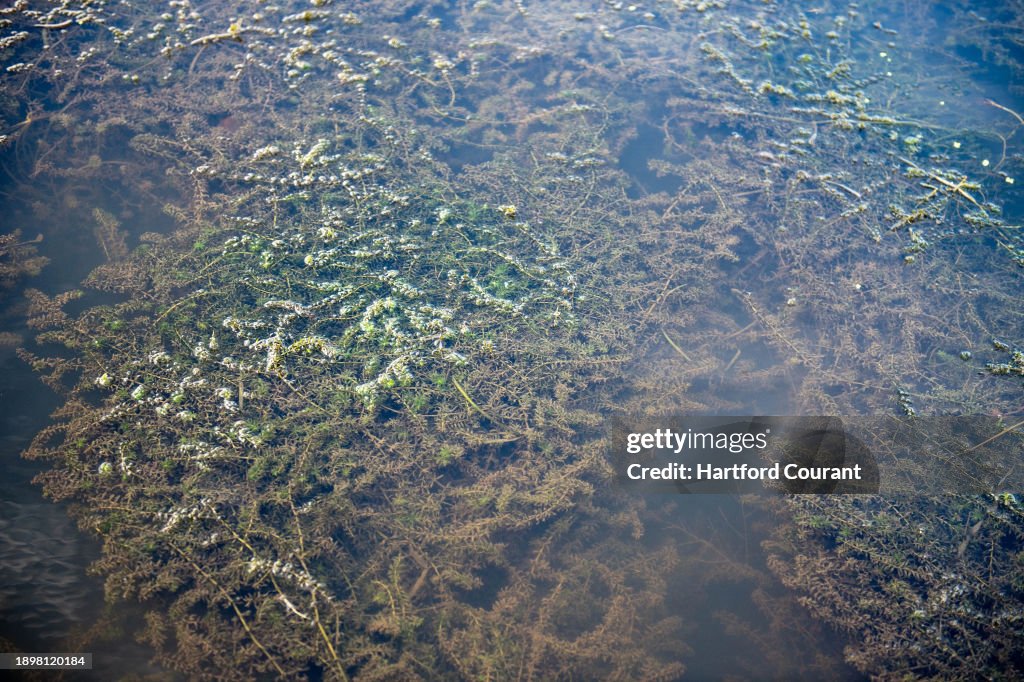 US-NEWS-SCI-CONN-RIVER-STUDENTS-3-HC