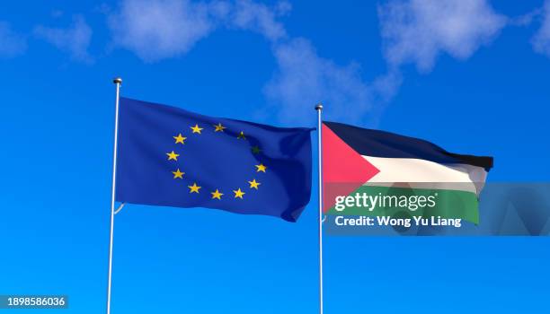 euro and palestine flag - palestinian flag stock pictures, royalty-free photos & images