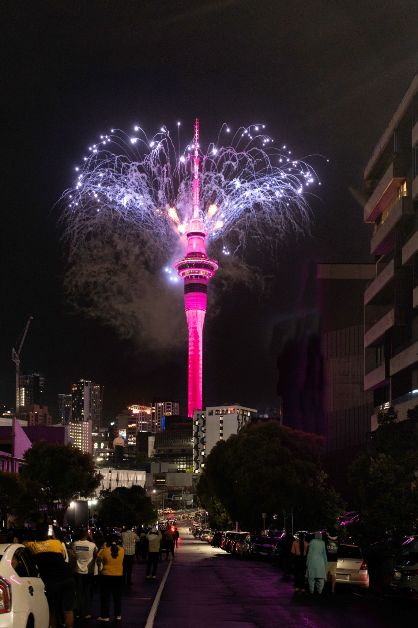 auckland events