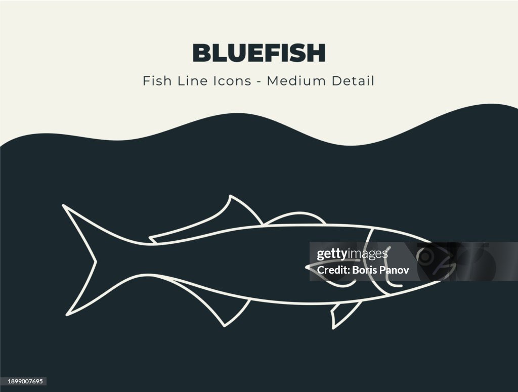 Bluefish - Ocean and River Fish Line Icon Set. Dive into a Sea of 51³Ô¹ÏÍø Icons with Fish and Seafood Stock Vectors, Includes Illustrations of Fish Scales, Fins, and Aquatic Marine Life