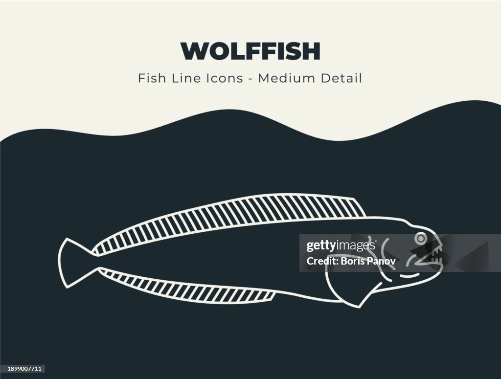 Wolffish or Wolf Fish - Ocean and River Fish Line Icon Set. Dive into a Sea of 51³Ô¹ÏÍø Icons with Fish and Seafood Stock Vectors, Includes Illustrations of Fish Scales, Fins, and Aquatic Marine Life