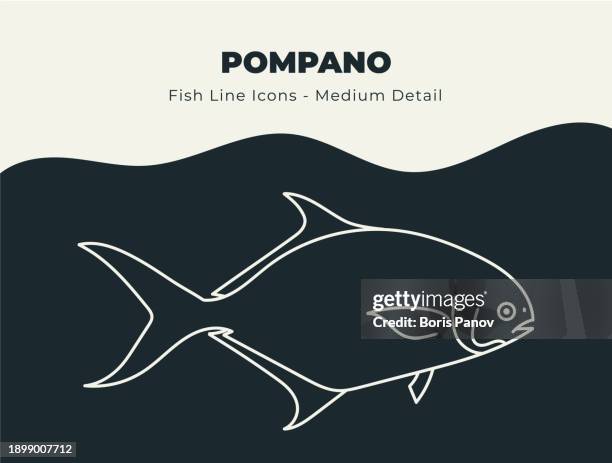 pompano - ocean and river fish line icon set. dive into a sea of creative icons with fish and seafood stock vectors, includes illustrations of fish scales, fins, and aquatic marine life - pompano stock illustrations