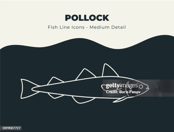 pollock - ocean and river fish line icon set. dive into a sea of creative icons with fish and seafood stock vectors, includes illustrations of fish scales, fins, and aquatic marine life - pollock fish stock illustrations