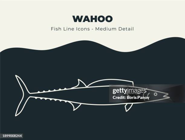 wahoo - ocean and river fish line icon set. dive into a sea of creative icons with fish and seafood stock vectors, includes illustrations of fish scales, fins, and aquatic marine life - wahoo stock illustrations