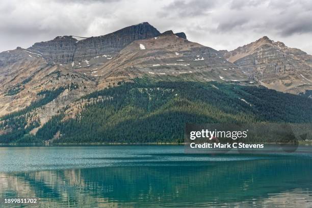 an official vacation guide to the icefields parkway! - bow river stock pictures, royalty-free photos & images