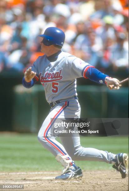 Sean Berry of the Montreal Expos bats against the San Francisco Giants during a Major League Baseball game circa 1993 at Candlestick Park in San...