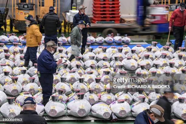 Participants look at frozen tuna as wholesale sellers and buyers attend the first tuna auction of the New Year at Toyosu fish market in Tokyo on...
