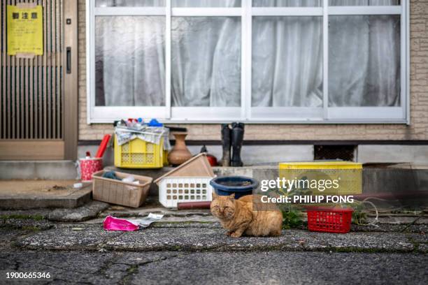 Cat rests in front of a house with a yellow poster reading "Be careful" in Japanese , in the town of Anamizu, Ishikawa prefecture on January 5 after...