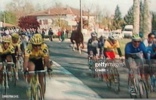 Photo prise sur écran télé d'un cheval galopant sur la route au milieu du peloton de la 1ere étape du Critérium international de la Route cycliste,...