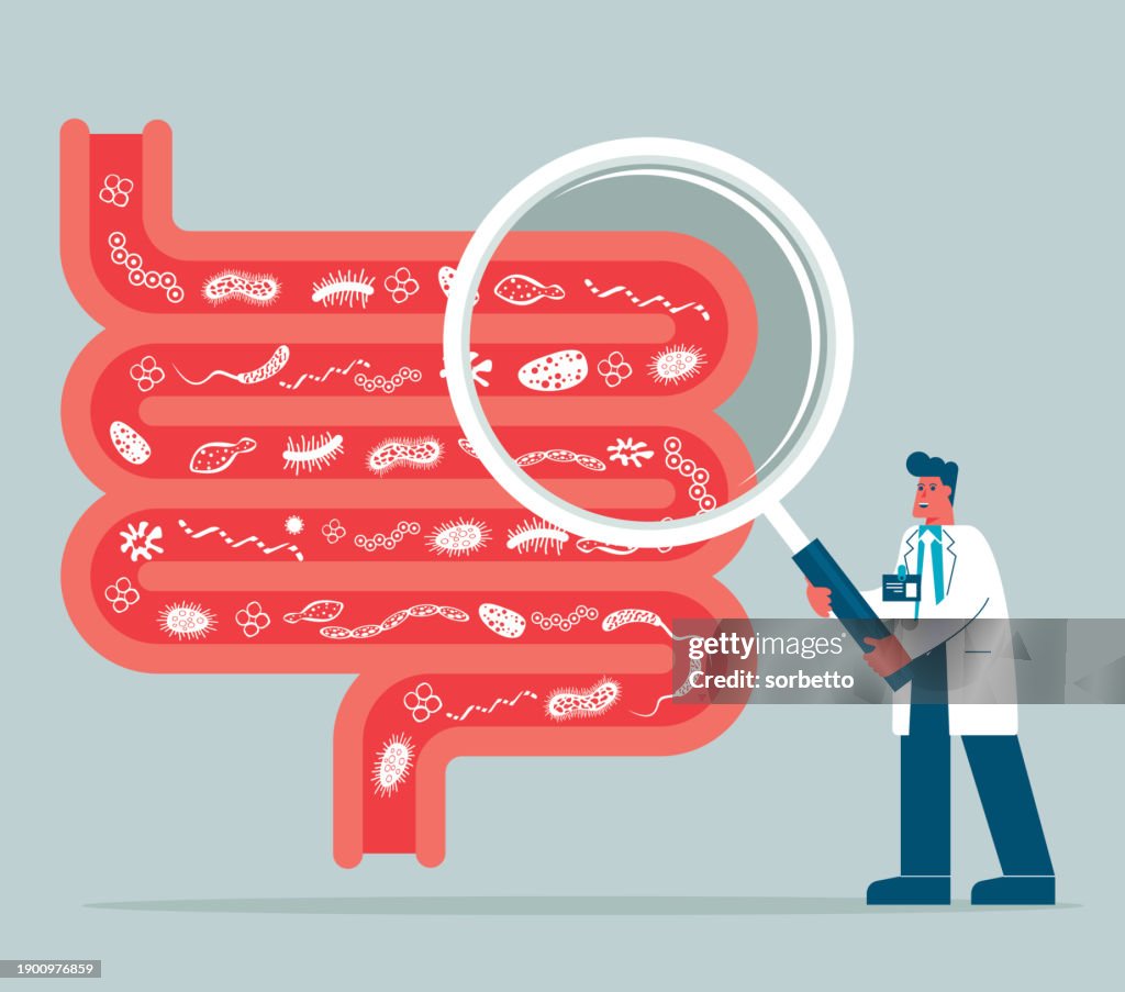 Magnifying Glass - Digestive system - male doctor